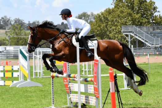 NEGS Student with her horse competing on behalf of NEGS Equestrian.